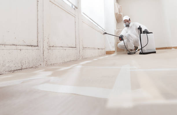 24/7 Emergency Mold Remediation experts in Wauconda, IL