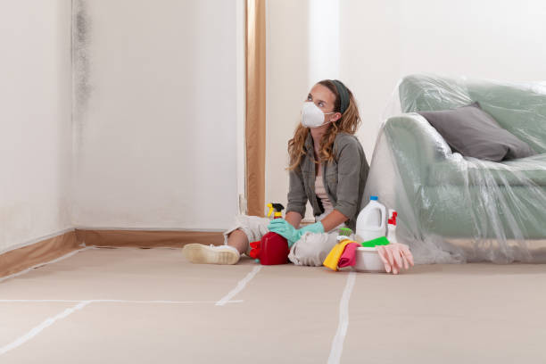 Reliable Mold Remediation contractor in Wauconda, IL by 24 Hour Mold Removal